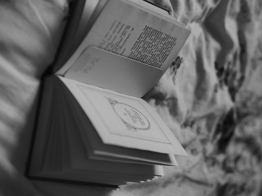 HD wallpaper: grayscale photography of opened book on bed, grey, paper,  flyer | Wallpaper Flare
