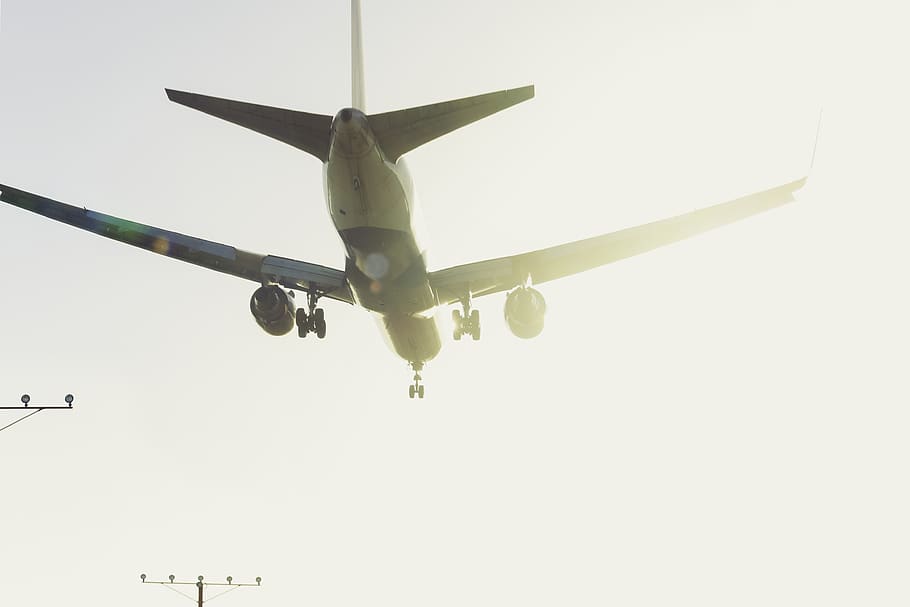 reflection, airplane, jet, sunset, airport, los angele, air vehicle HD wallpaper