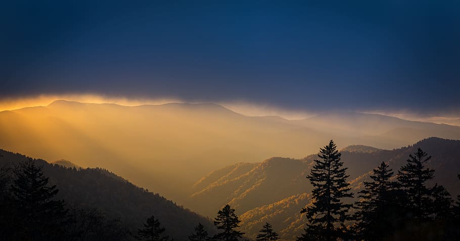 silhouette of trees, mountain, beauty in nature, environment HD wallpaper