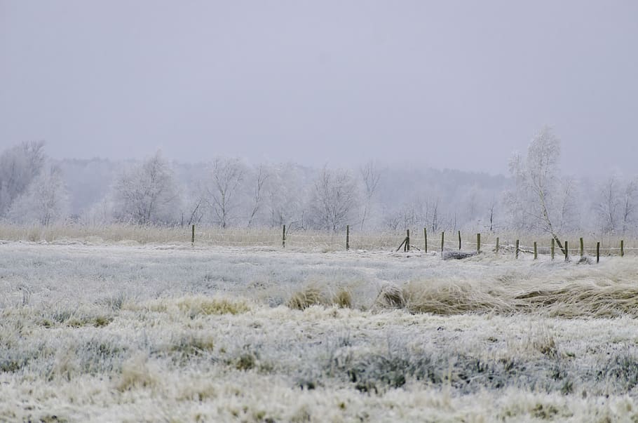 winter, nature, view, snow, landscape, no people, cold temperature HD wallpaper