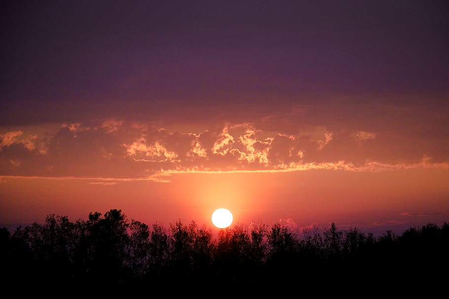 canada, osler, clouds, trees, sunset, gradient, summer, sky HD wallpaper