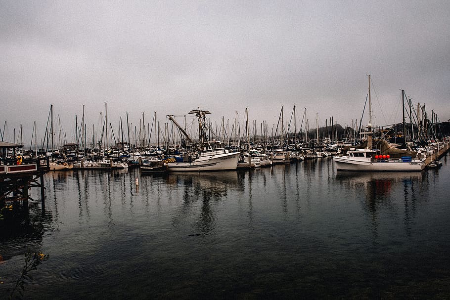 boat lot, water, waterfront, marina, port, dock, pier, transportation HD wallpaper