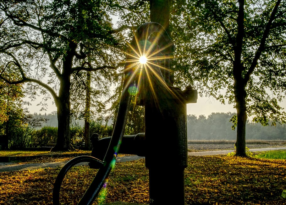 fountain, backlighting, forest, sun, autumn, leaves, dazzling star HD wallpaper