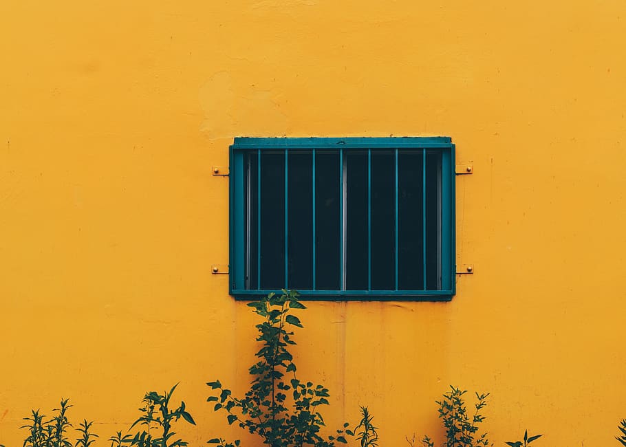 yellow, concrete, wall, plants, window, building exterior, architecture HD wallpaper