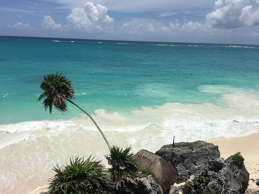 mexico, unnamed road, sea, sky, horizon over water, tree, cloud - sky HD wallpaper