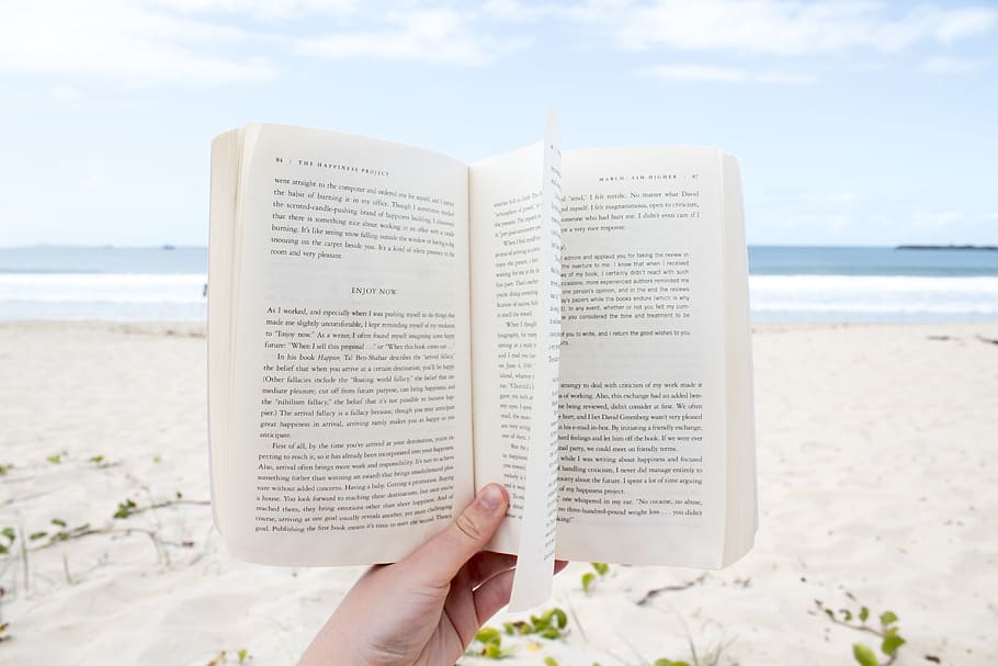 person holding book, human hand, sea, beach, water, land, publication HD wallpaper