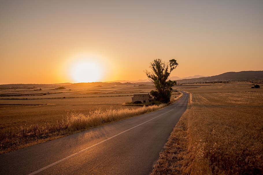gray concrete road between brown grass during daytime, sky, sunset HD wallpaper