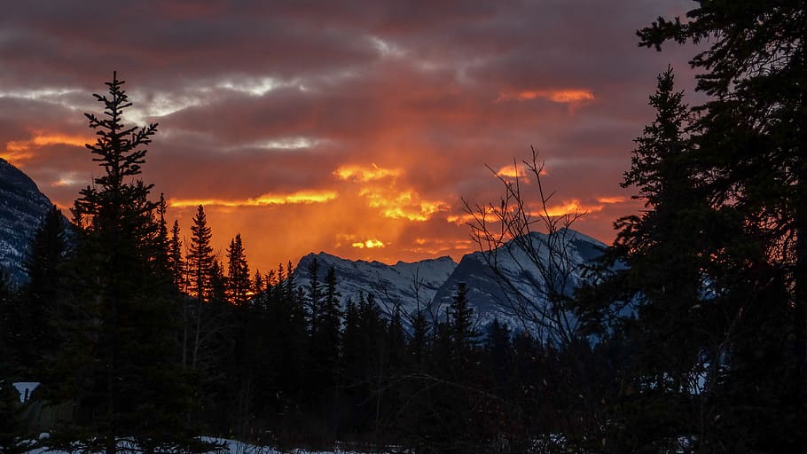 canada, canmore, orange, mountain, wallpaper, background, bright HD wallpaper
