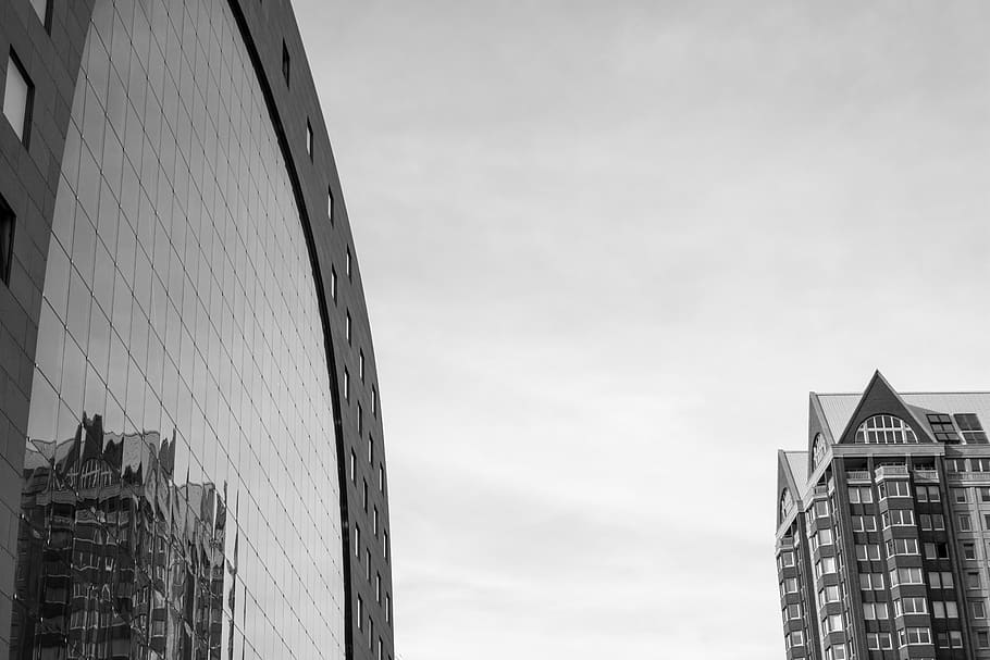 markthal, netherlands, rotterdam, black and white, architecture, HD wallpaper