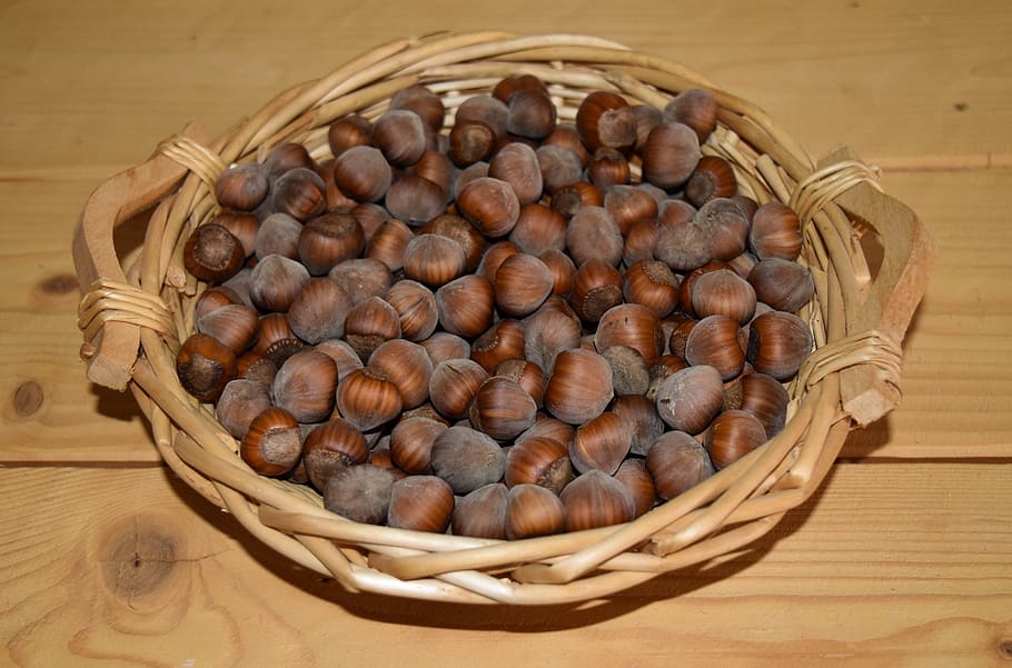 hazelnuts, walnut, bowls, basket, fruits, natural, alimentari HD wallpaper