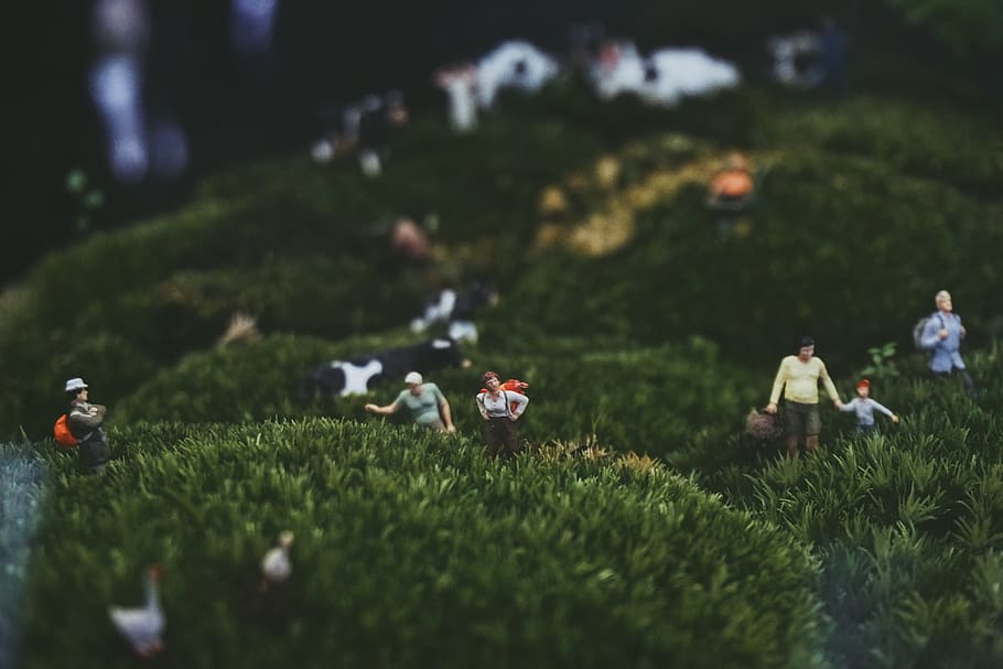 mini, toy, scene, grass, plant, field, green color, selective focus HD wallpaper