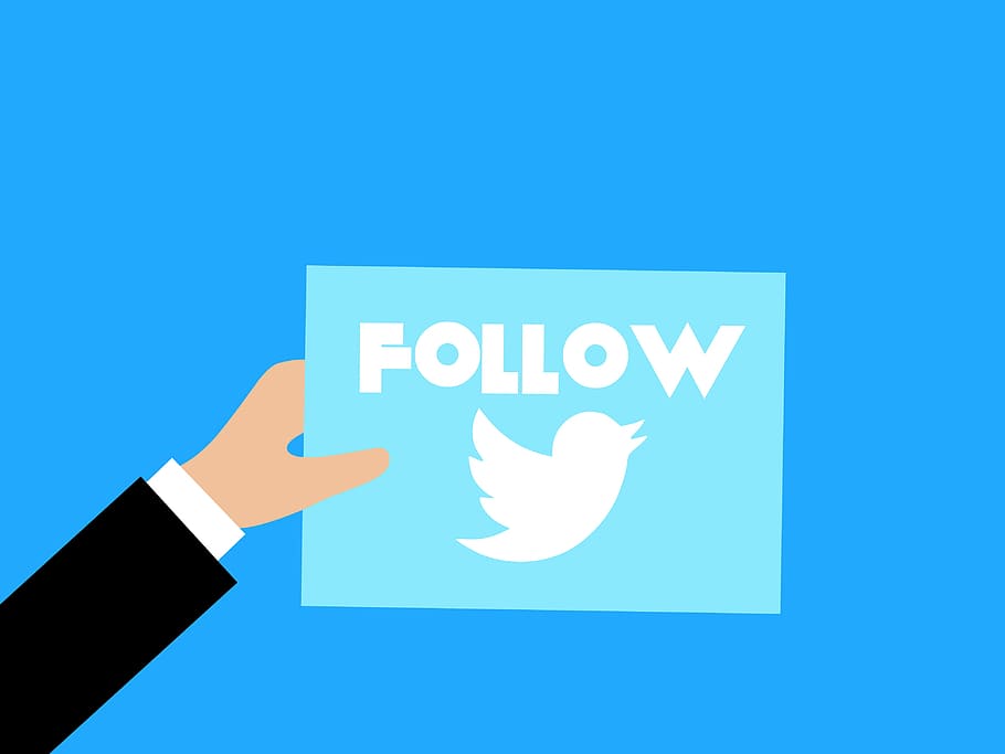 Illustration of hand holding sign asking for a Twitter follow, HD wallpaper