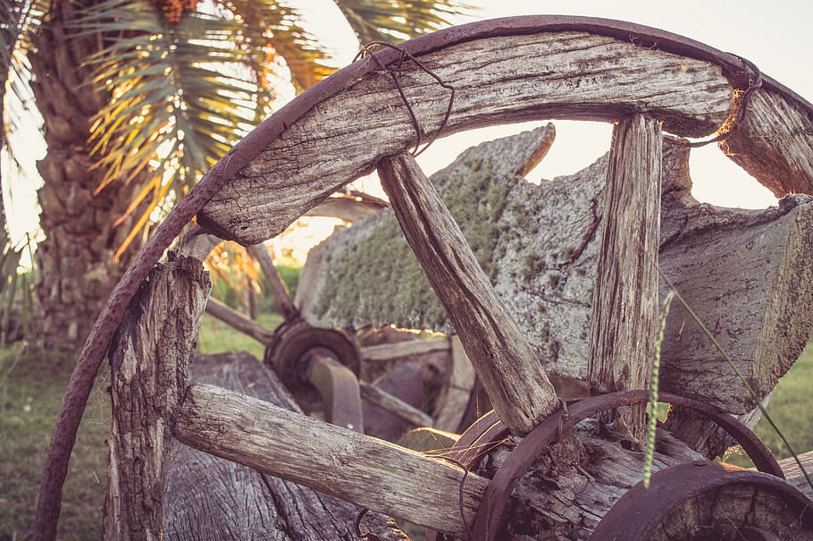 bench, nature, exterior, interior, wagon, wheel, tree, plant HD wallpaper