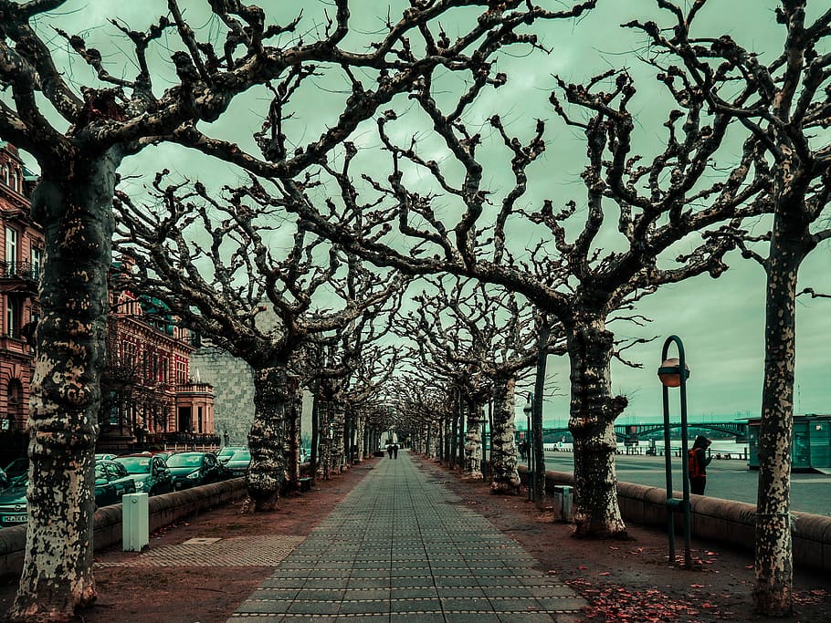 germany, mainz, sadnes, alternative, dead, water, blue, rhine HD wallpaper