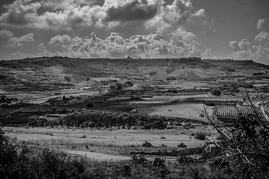 malta, gozo, clouds, distance, bw, blackandwhite, trees, grass HD wallpaper
