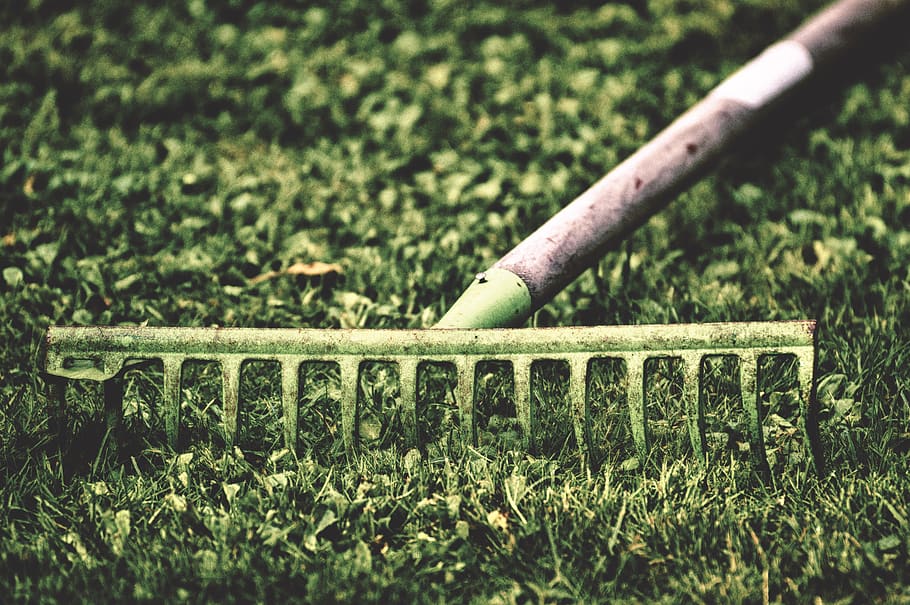 computing, garden, work, gardening, nature, gardening equipment HD wallpaper