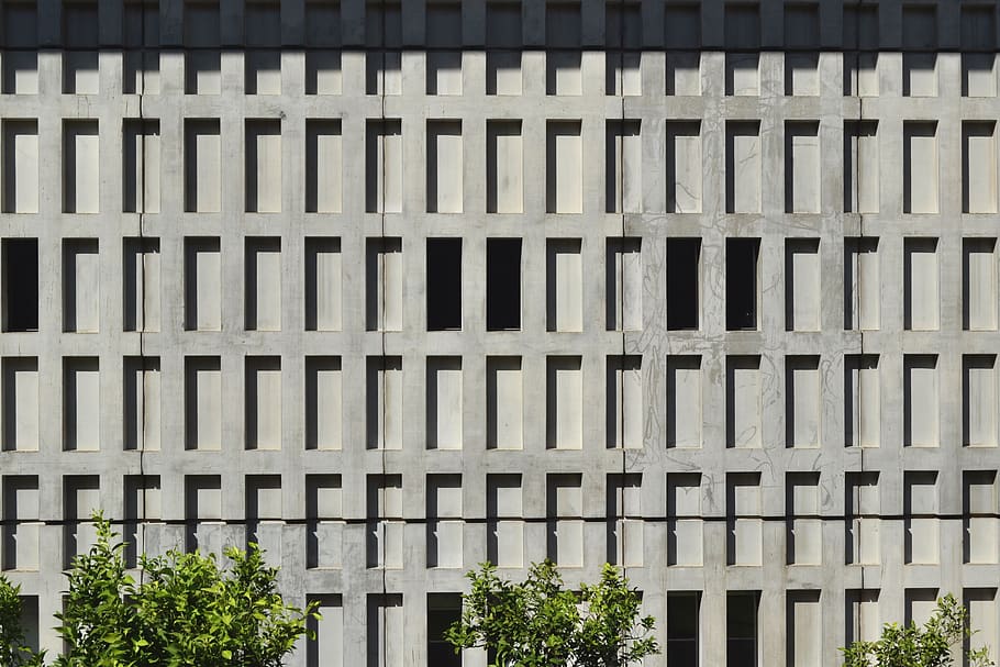 plants beside wall, greece, athina, acropolis museum, building HD wallpaper