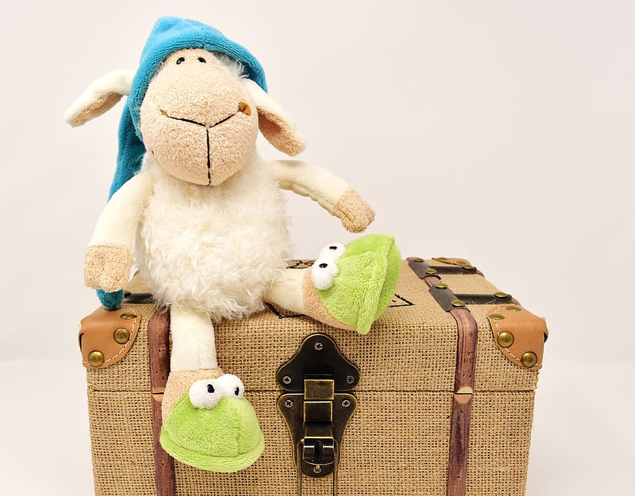 sheep, teddy bear, chest, soft, cute, toys, stuffed animal HD wallpaper