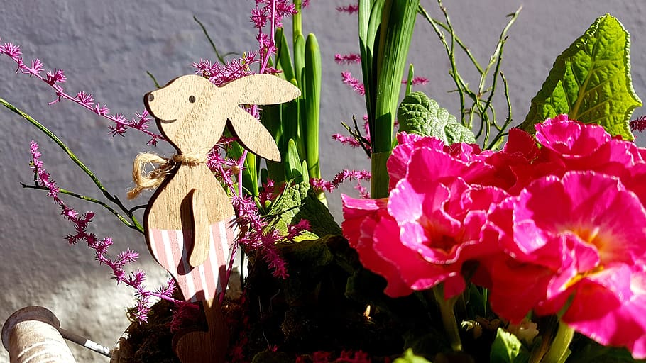 easter, spring, easter bunny, wood, primrose, deco, easter decorations HD wallpaper