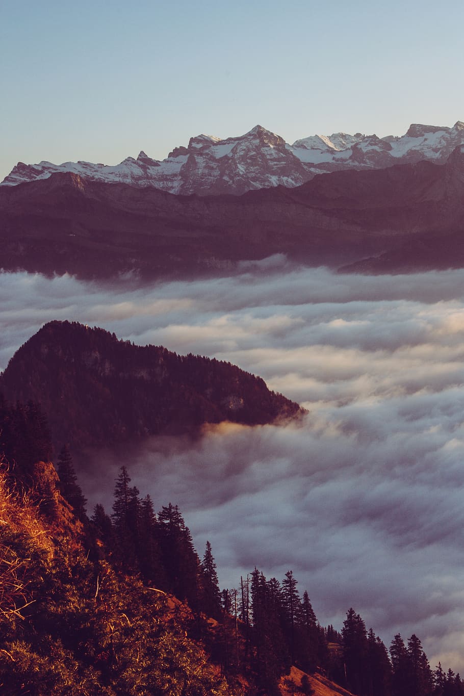 mountain with fog, nature, outdoors, mountain range, tree, plant HD wallpaper