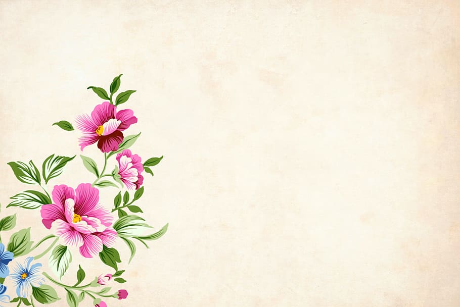 Blooming flowers, background, floral, border, garden frame, vintage, HD wallpaper