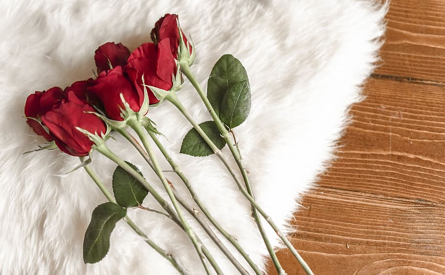hand, ring, pink rose, red rose, white, floral, colorful, flatlay HD wallpaper