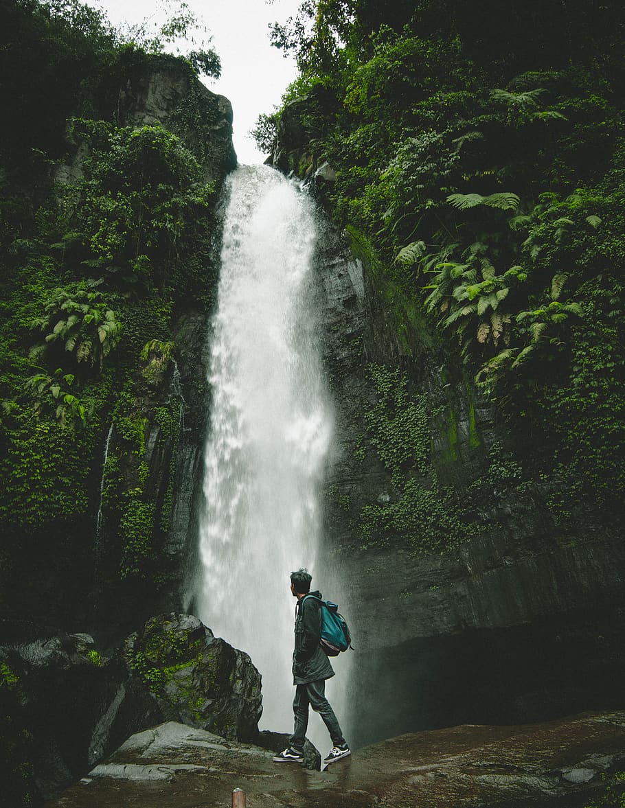 indonesia, coban talun waterfall, plant, tree, real people, HD wallpaper