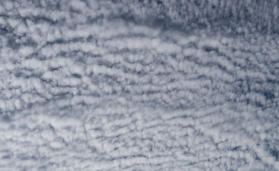 clouds, white, blue, fluffy, cirrocumulus, delicate, weather HD wallpaper