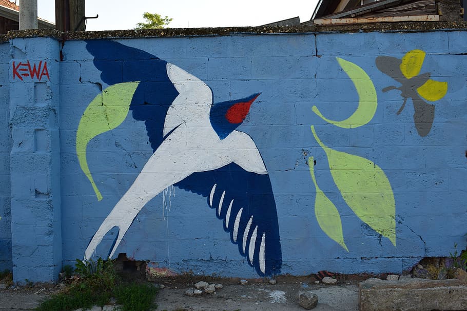 serbia, belgrade, graffiti, art and craft, wall - building feature HD wallpaper