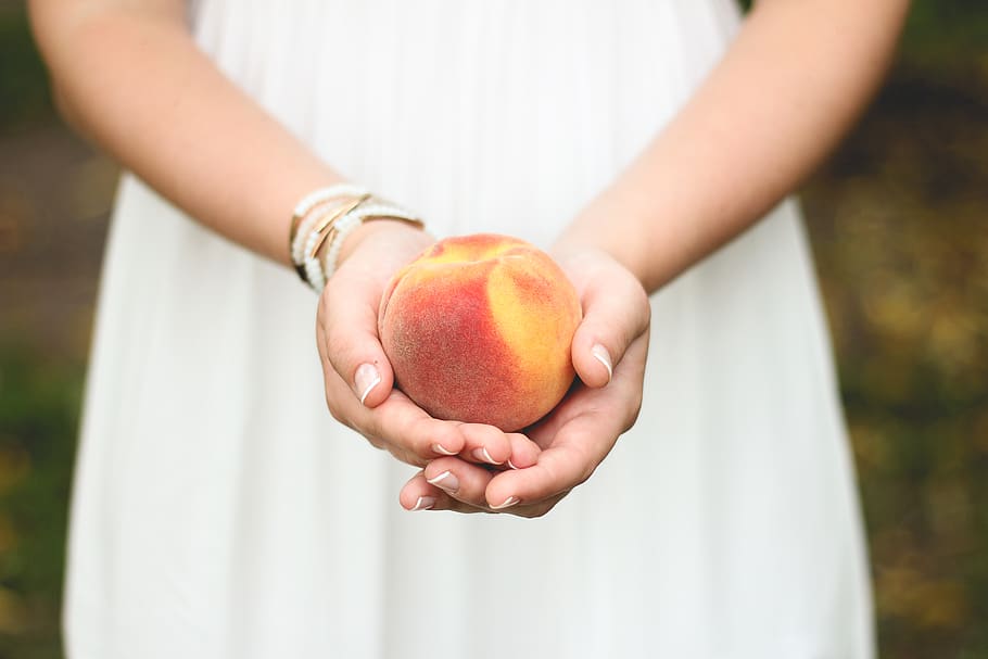 peach, fruit, hands, human hand, human body part, holding, midsection HD wallpaper