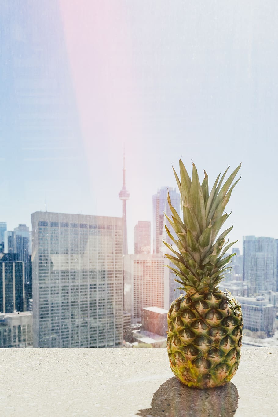 pineapple on roof, fruit, food, plant, toronto, toronto city hall HD wallpaper