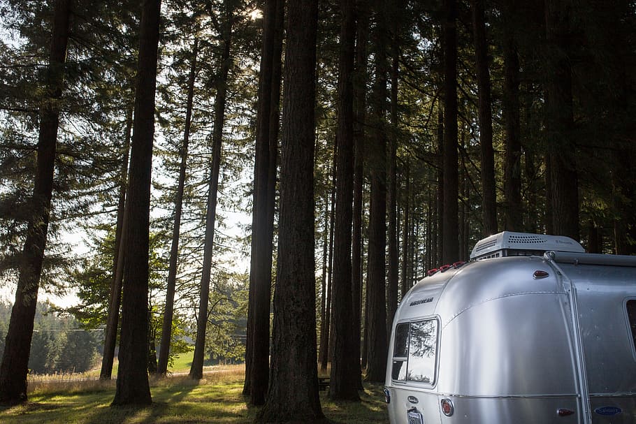 gray metal trailer beside green trees during daytime, airstream sport