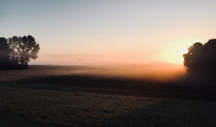 white fogs on tree, sunrise, sunset, outdoors, nature, field HD wallpaper