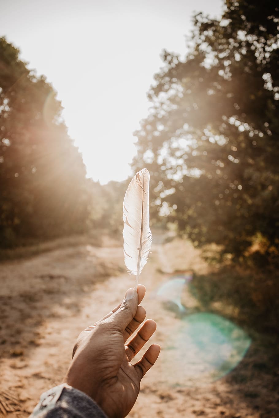 person holding white feather during daytime, hand, bokeh, sunlight, HD wallpaper