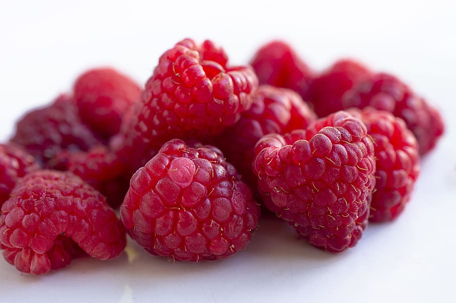 plant, food, fruit, raspberry, confectionery, sweets, produce HD wallpaper