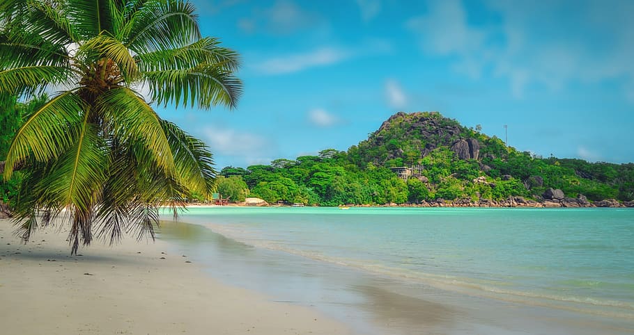 praslin, seychelles, an island, beach, sea, paradise, nature, HD wallpaper