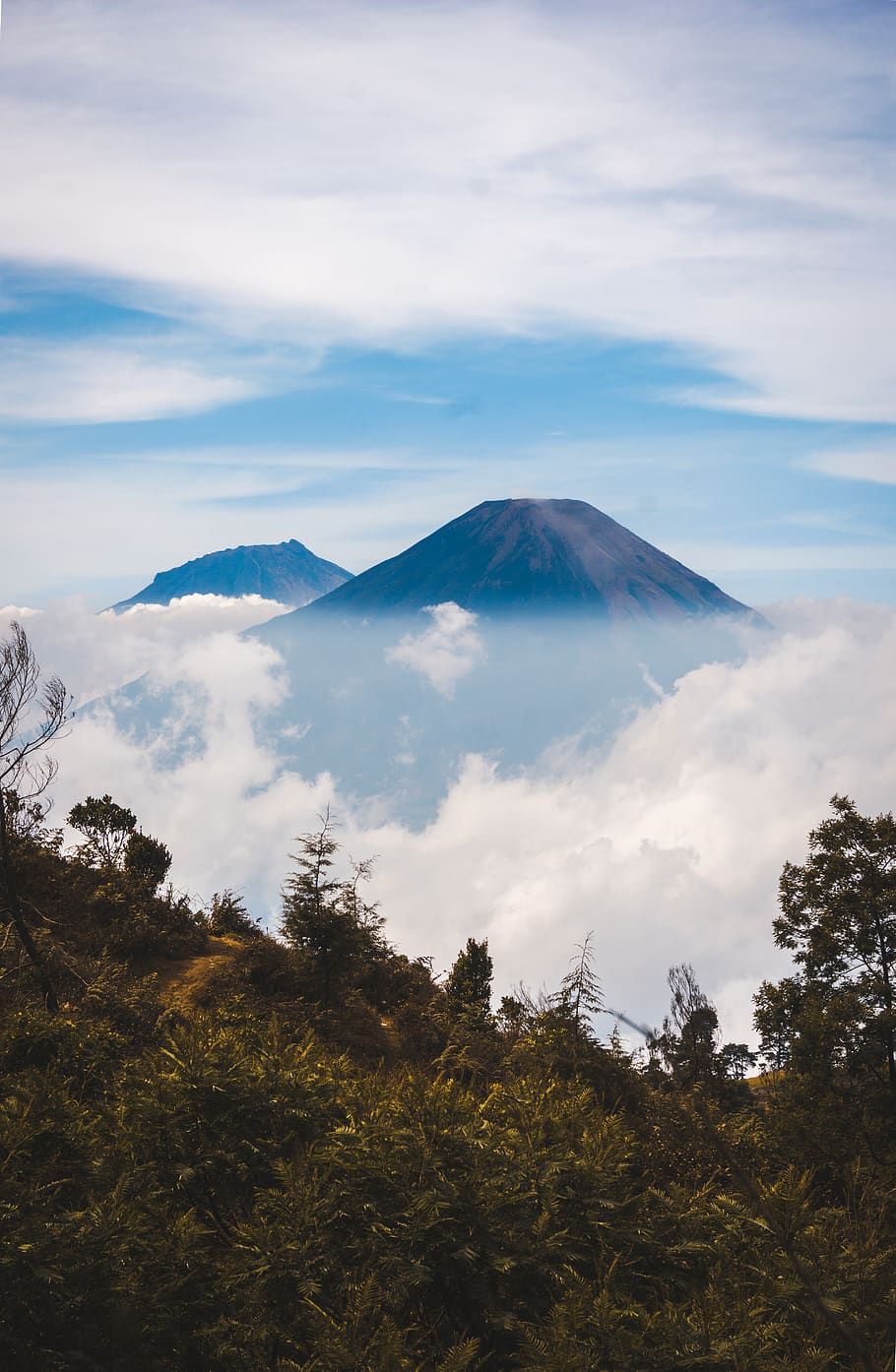 mountain with white clouds during daytime, forest, plant, blue HD wallpaper