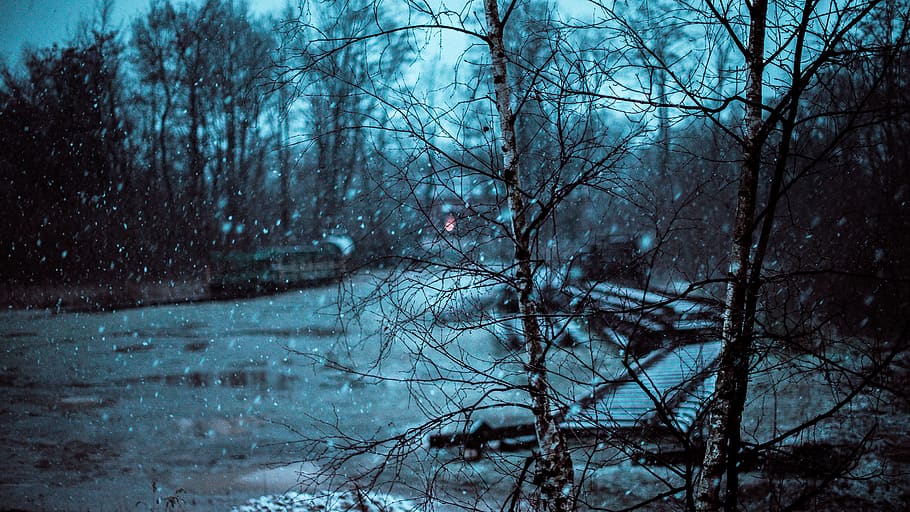 germany, osnabrück, tree, snowing, cool, photography, winter HD wallpaper