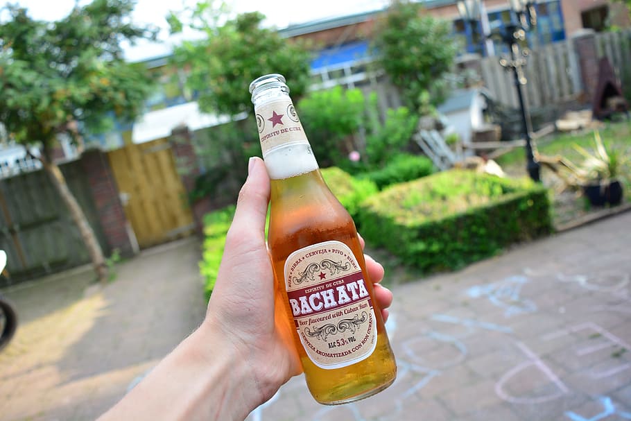 beer, drink, cold, beverage, bottle, cheers, hand, outside HD wallpaper
