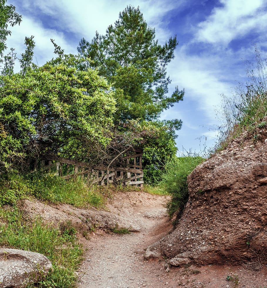 path, rural, landscape, trees, trail, forest, field, country HD wallpaper