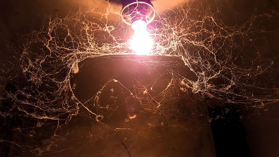 germany, stuttgart, lamp, spider web, light bulb, mobile photography HD wallpaper