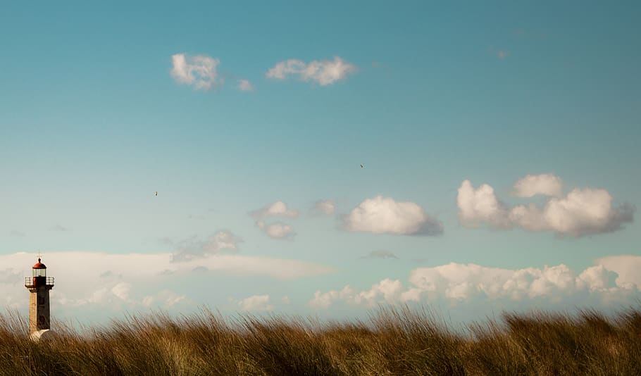 lighthouse, mar, ocean, water, seagull, costa, beach, landscape HD wallpaper