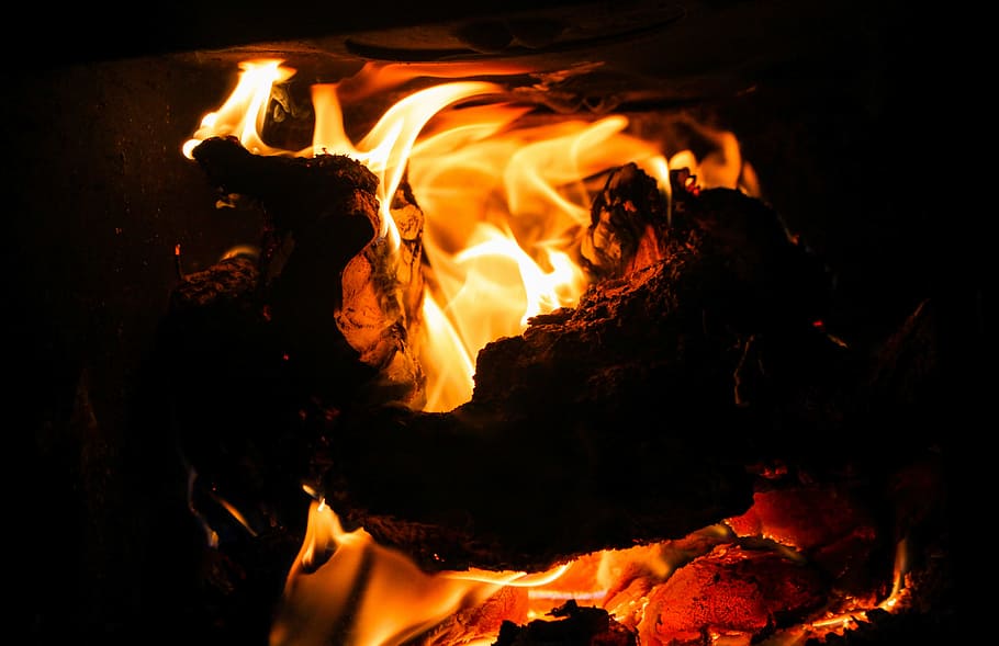 Close-up Photo Of Bonfire, burning, burnt, campfire, camping HD wallpaper
