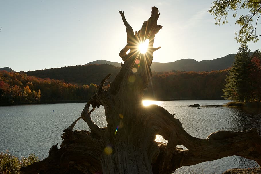 orford, canada, forest, mountain, trees, sunset, lake, sky HD wallpaper