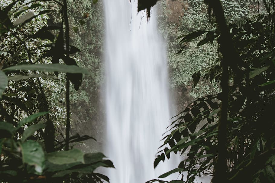 waterfall and trees during daytime, nature, river, outdoors, indonesia, HD wallpaper