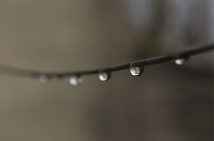 water, drops, wire, wet, close-up, selective focus, no people HD wallpaper