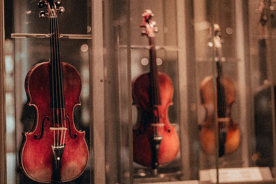 brown violin, musical instrument, string instrument, arts culture and entertainment HD wallpaper