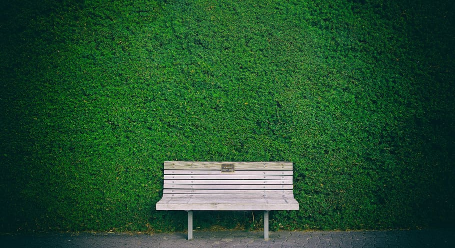 bench, hedge, green, brown, background, seat, green color, plant HD wallpaper