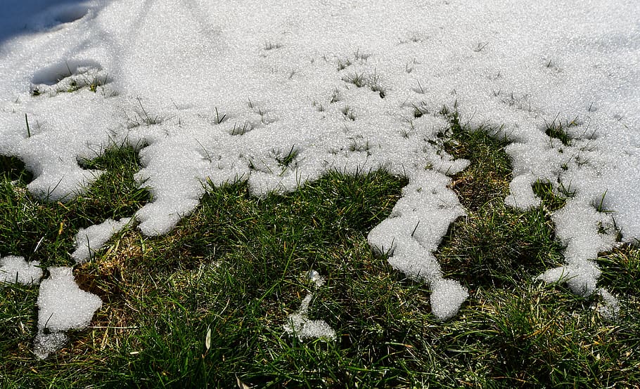 snow, grass, turf, melt, warming, winter, spring, white, green HD wallpaper