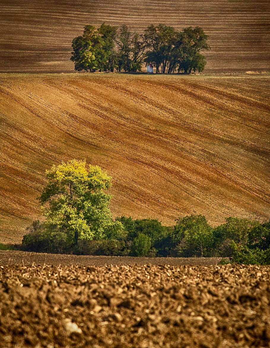 landscape, monument, trees, summer, agriculture, plant, field HD wallpaper